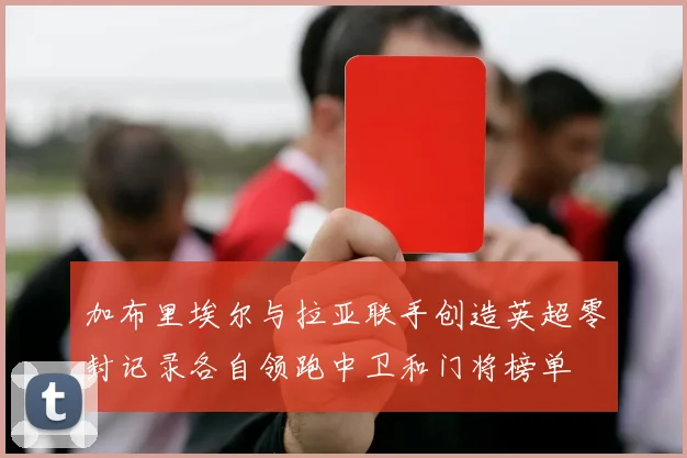 加布里埃尔与拉亚联手创造英超零封记录各自领跑中卫和门将榜单