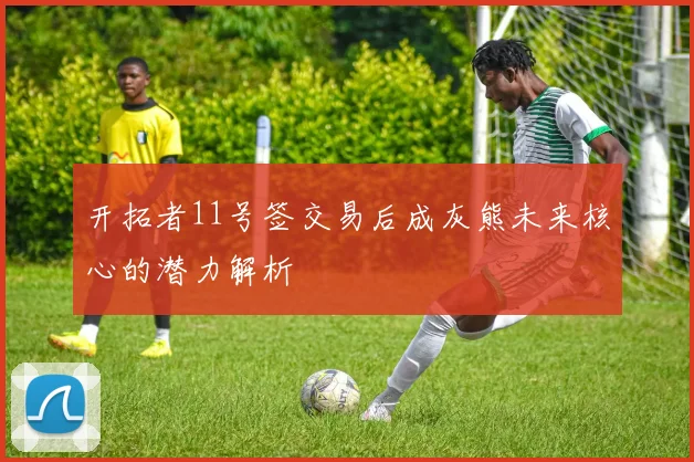开拓者11号签交易后成灰熊未来核心的潜力解析