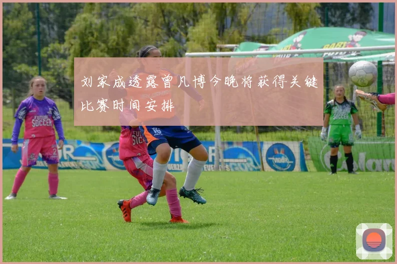 刘家成透露曾凡博今晚将获得关键比赛时间安排