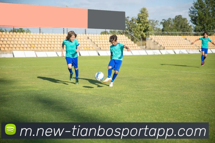 天博足球平台生态图