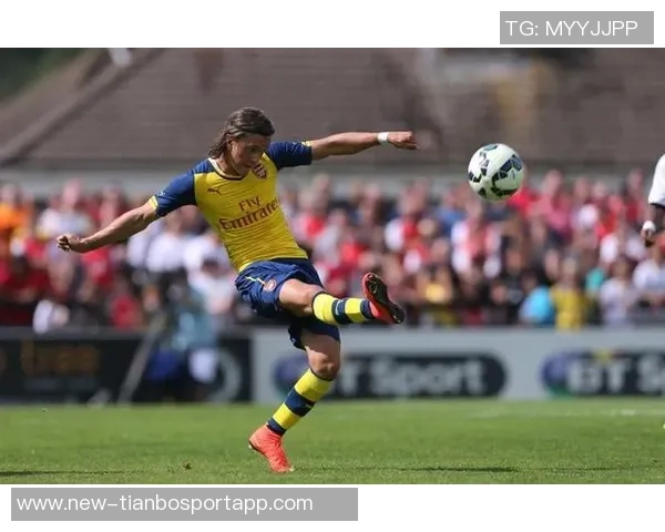 前阿森纳青训球员维加不幸身亡围墙已被拆除引发广泛关注